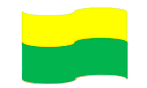 Bandera Institucional
